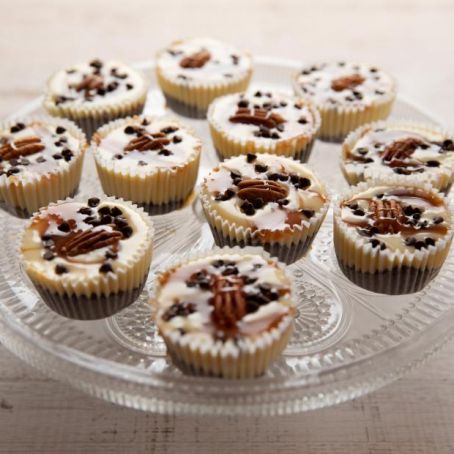 Mini Turtle Cheesecake