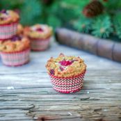 Holiday Cranberry Coconut Flour Muffins