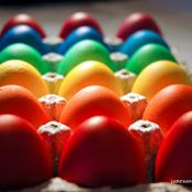 Rainbow of Eggs