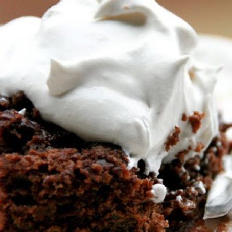 Slow Cooker Hot Fudge Peanut Butter Pudding Cake