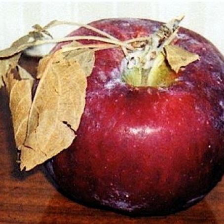 Apple-Boursin Cheese Open Face Fingers