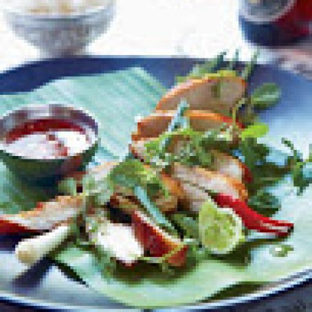 Lemongrass-Cilantro Chicken with Honey Dipping Sauce