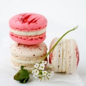 DESSERT - Strawberry and Vanilla Bean Macaroon