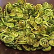 Fiddleheads