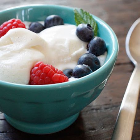 Homemade Low Fat Vanilla Bean Frozen Yogurt