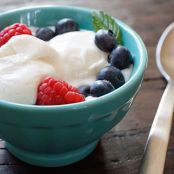 Homemade Low Fat Vanilla Bean Frozen Yogurt