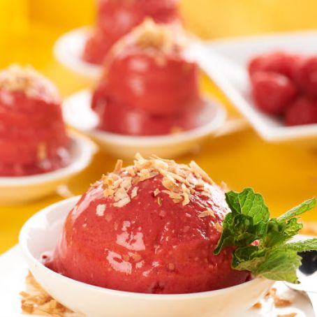 Sugar-Free Coconut Raspberry Sorbet