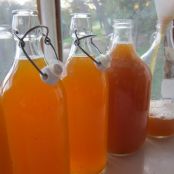 How to Make Kombucha