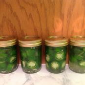 Lacto-Fermented Jalapeno Rings