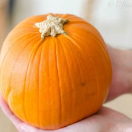 Fresh Pumpkin Pie