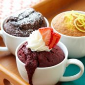 Mug Cake Recipes