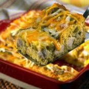 1-Dish Chicken Enchilada