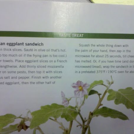 Grilled Eggplant Sandwich