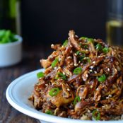 Slow Cooker Honey Garlic Chicken