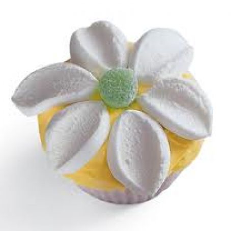 Flower Cupcake - 1