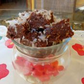 Coconut Chocolate Protein Squares - GF