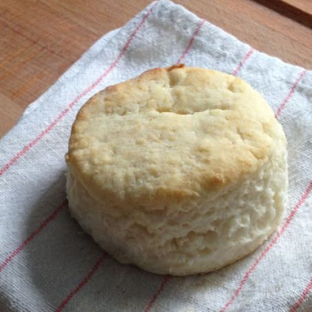 Ben's Perfect Lard Biscuits