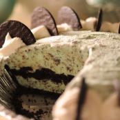 Mint Chocolate Chip Ice Cream Pie