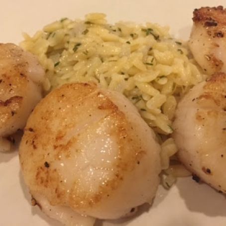 Lemon Orzo & Seared Scallops