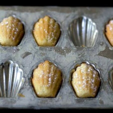 Madeleines