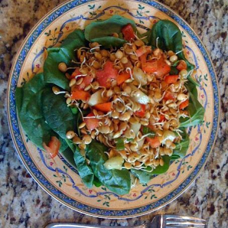 Indian Sprouted Lentil Salad