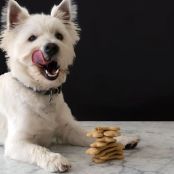 Peanut Butter and Honey Dog Treats 2