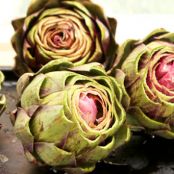 Slow Cooker Artichokes