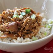 Crockpot Sesame Honey Chicken