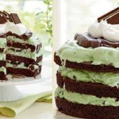 Mint Chocolate Chip Ice-Cream Cake