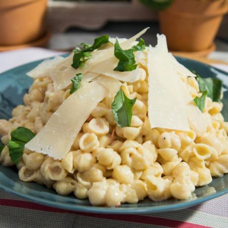 Baby Shells Bechamel