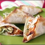 'Tons of Yum! - Wonton Tacos