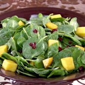 Spinach Salad with Mangos, Dried Cranberries and Chocolate Vinaigrette
