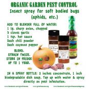 DIY Natural Pesticide
