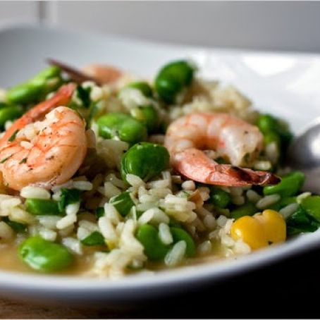 FRESH FAVA & SHRIMP RISOTTO