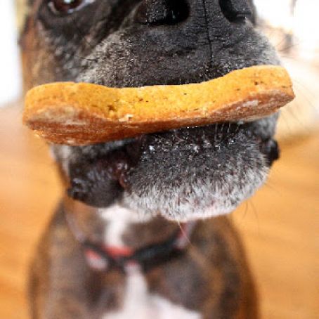 Apple Carrot Dog Treats