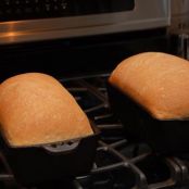 Whole Wheat Bread