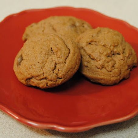 Chocolate Chocolate Chip Cookies