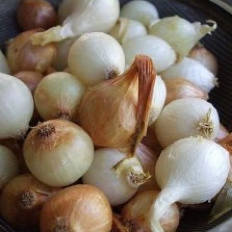 Traditional Creamed Onions