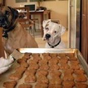 Pumpkin Wafers Dog Treats