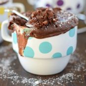 Cake - Chocolate Peanut Butter Mug Cake