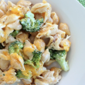 Chicken & Broccoli Alfredo Shells/Jenna