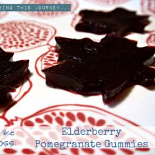 Elderberry Pomegranate Gummies