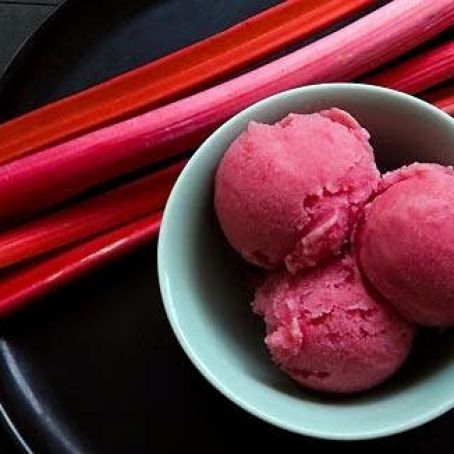 Rhubarb Sorbet