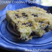 square - chocolate coconut squares