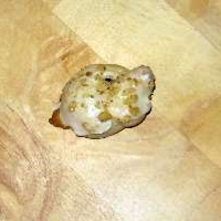 Sicilian Knot Cookies