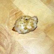 Sicilian Knot Cookies