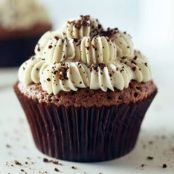 Chocolate Cupcakes