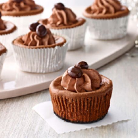 Mini Mocha Cheesecakes