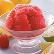 Lemon 'n' Lime Strawberry Ice Recipe | Taste of Home Recipes