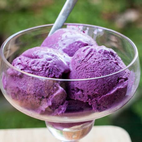 Blueberry and/or Blackberry Frozen Yogurt